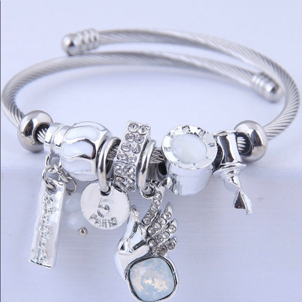 Charm bracelets
